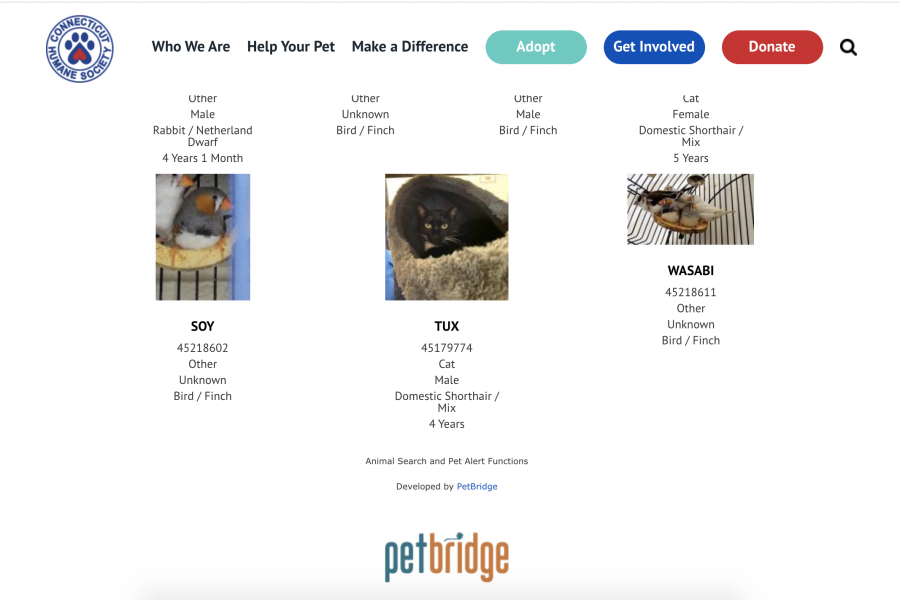 A display of adoptable pets from the Connecticut Humane Society