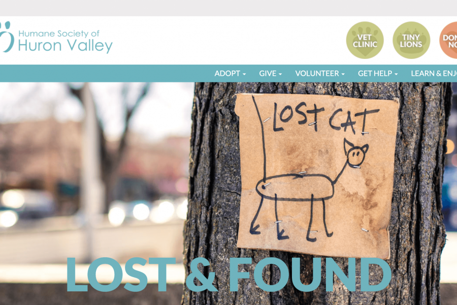 A lost cat poster is attached to a tree trunk
