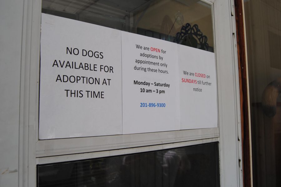 Pet shelters closed during Covid