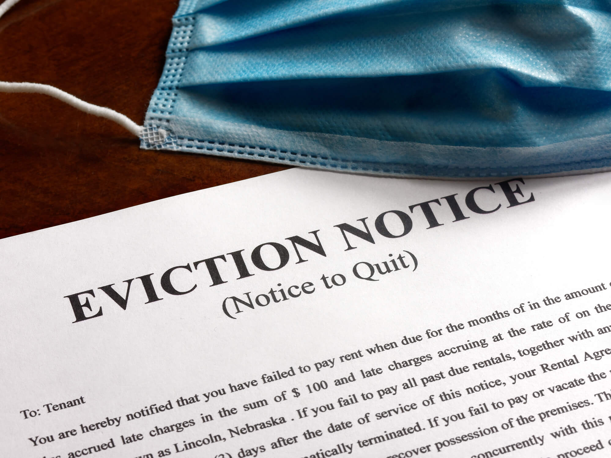 The eviction crisis related to Covid-19 will affect millions of pets