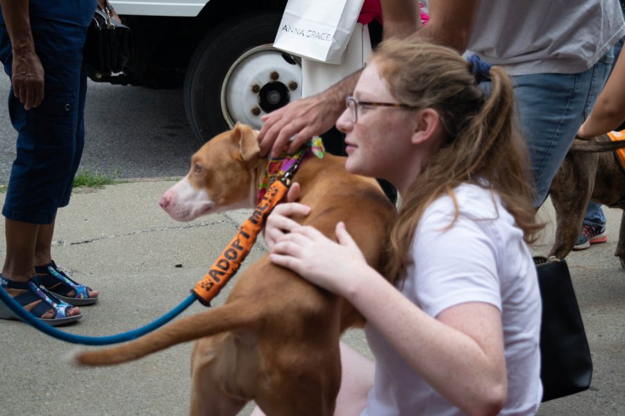 A woman hugs a shelter pet at an animal adoption event