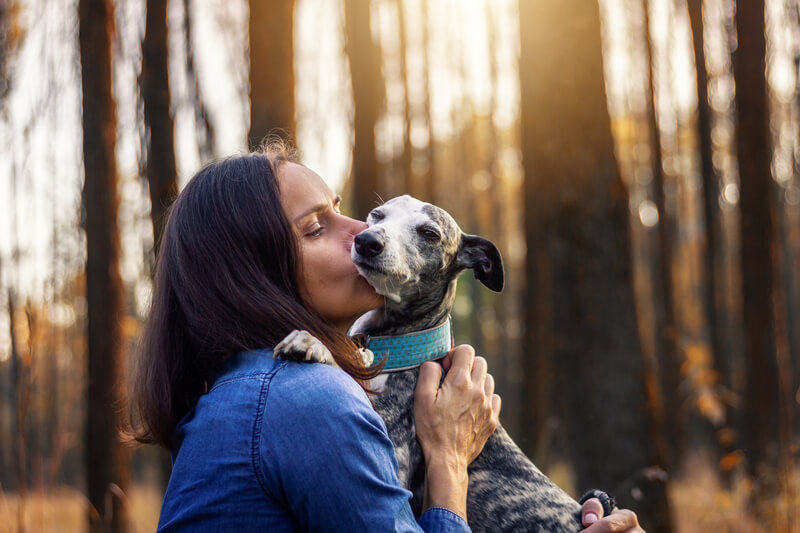 a woman kisses her dog in a forest
